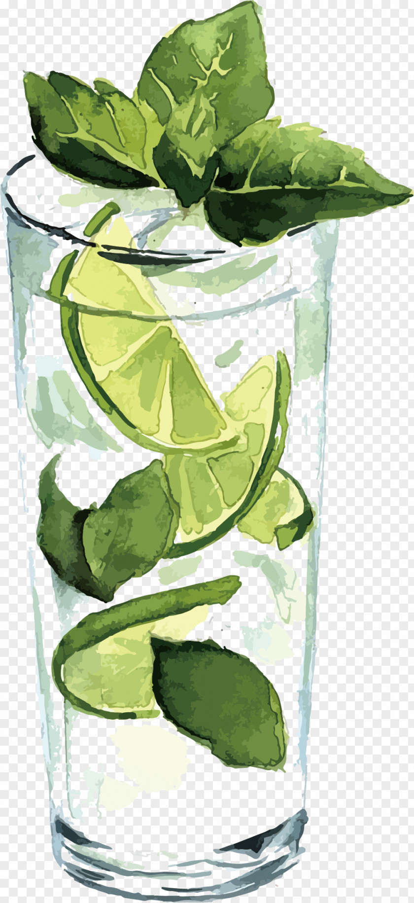 Vector Lemonade Watercolor Painting Illustration PNG