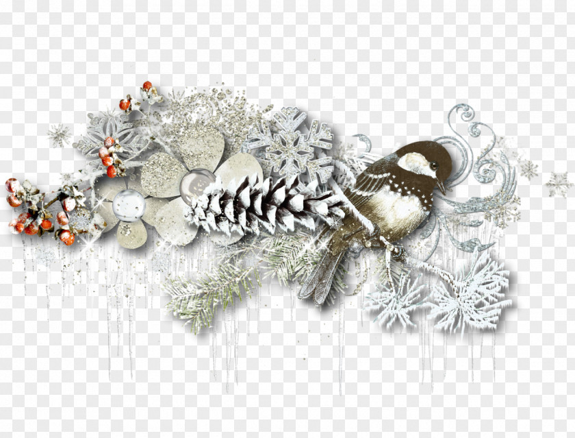 Winter Christmas Decoration Ornament PNG