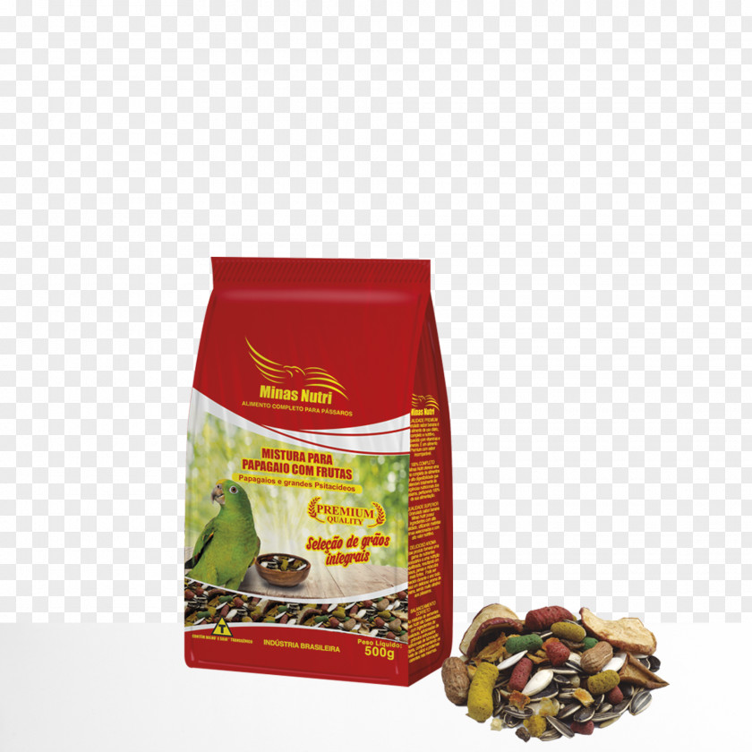 Bird Atlantic Canary Nutrient Nutrition Reptile PNG