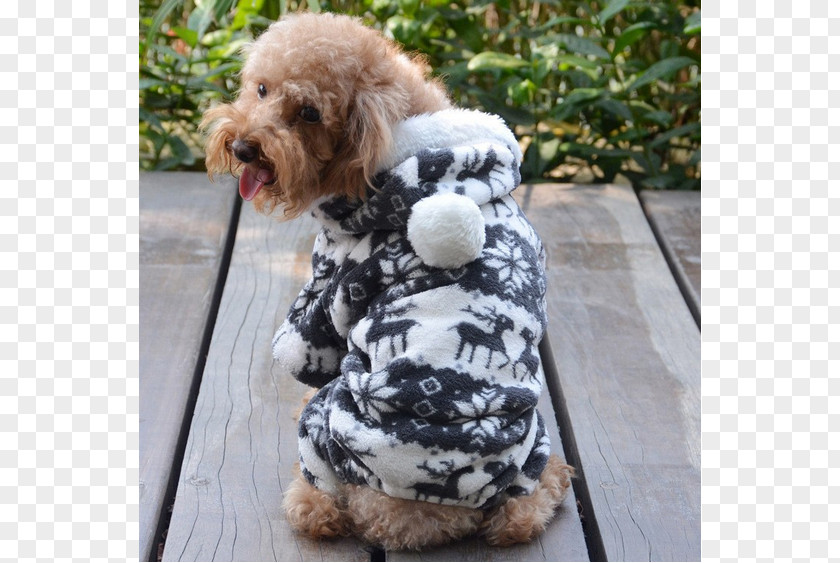 Cat Cockapoo Hoodie T-shirt Puppy PNG