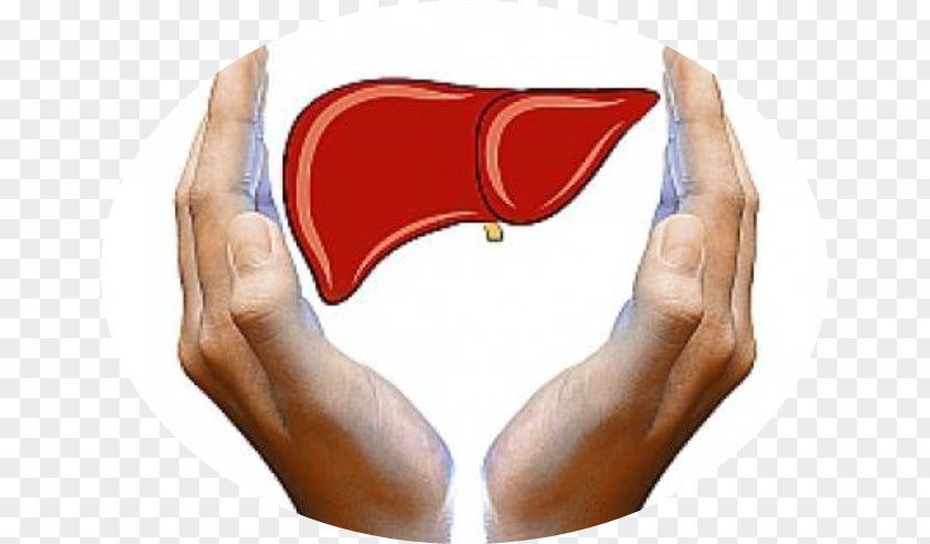 Health Liver Failure Food Toxin PNG