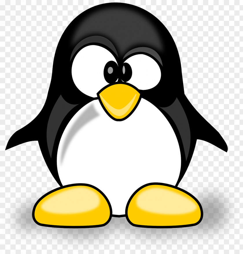 Penguins Google Penguin Search Engine Optimization Panda PNG