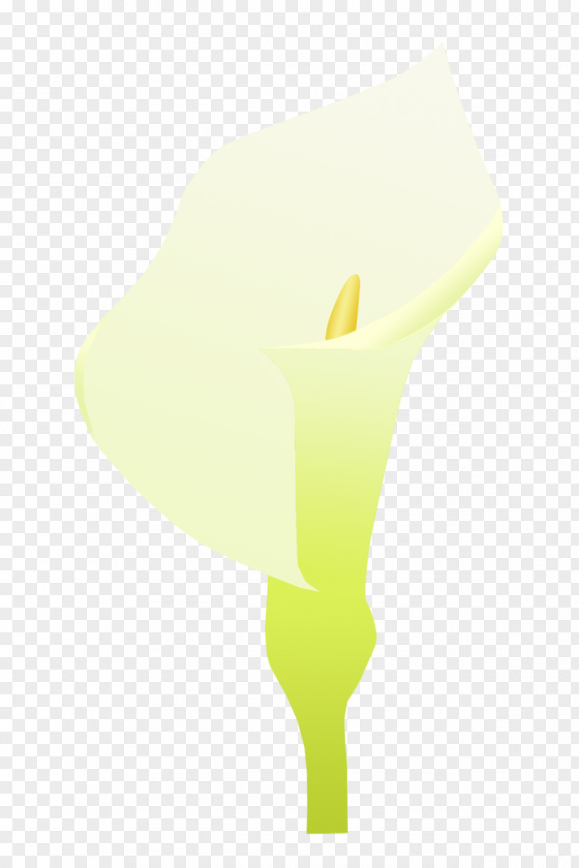 Blooming Calla Lily Yellow Font PNG