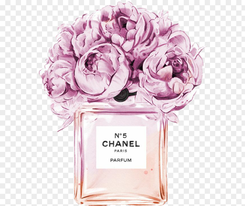 Chanel No. 5 Perfume Coco PNG