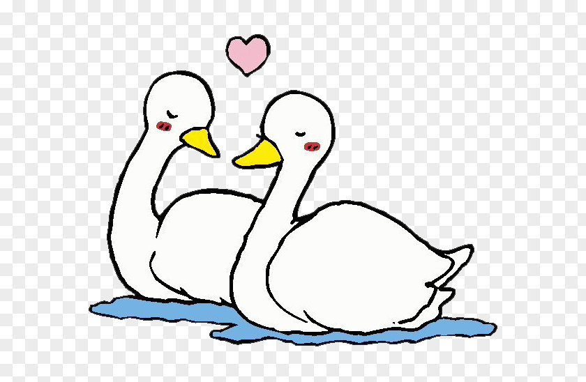 Couple White Swan Hot Pot Mandarin Duck Cartoon PNG