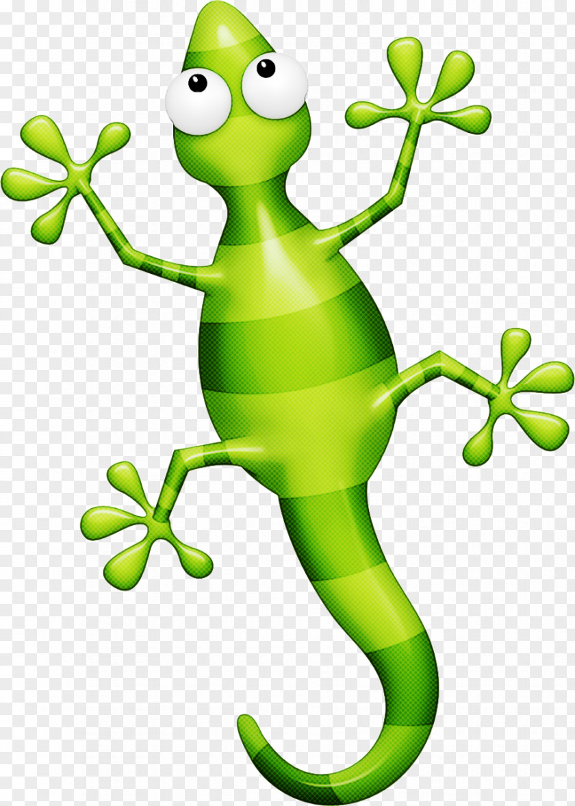 Green Shrub Frog Gecko Tree PNG
