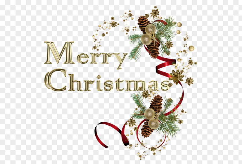 Merry Christmas PNG christmas clipart PNG