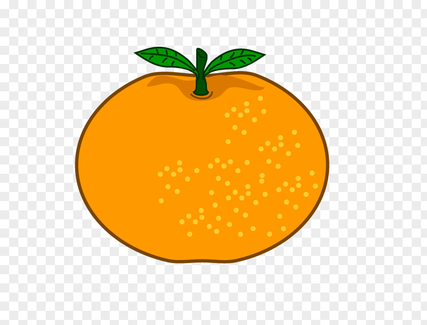 Orange Mandarin Clip Art Citrus × Sinensis Fruit PNG