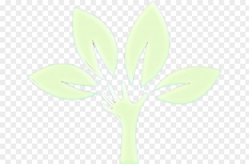 Petal Flower Green Leaf Plant PNG