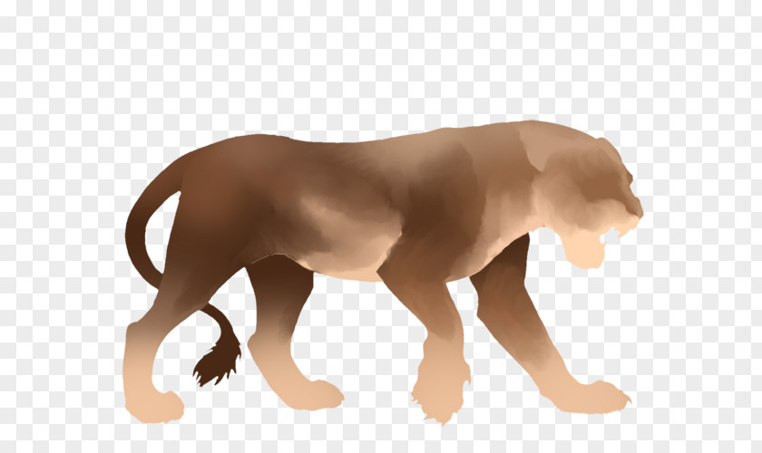 Pride Of Lions Lion Dog Big Cat Fang PNG