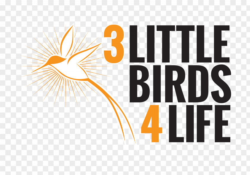 Three Little Birds Organization Donation Wish Service PNG