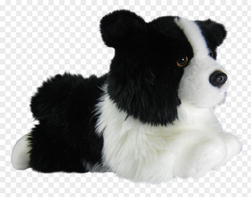 Toy Dog Breed Border Collie Stuffed Animals & Cuddly Toys Companion PNG