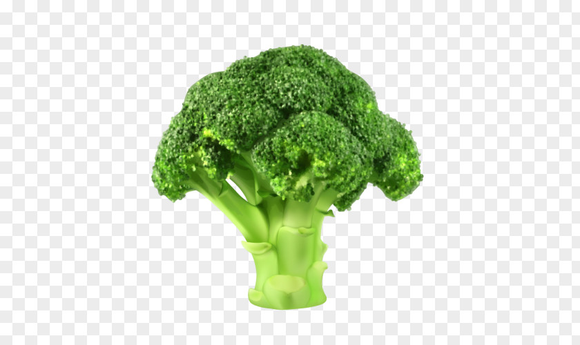 Broccoli Vegetable Clip Art PNG