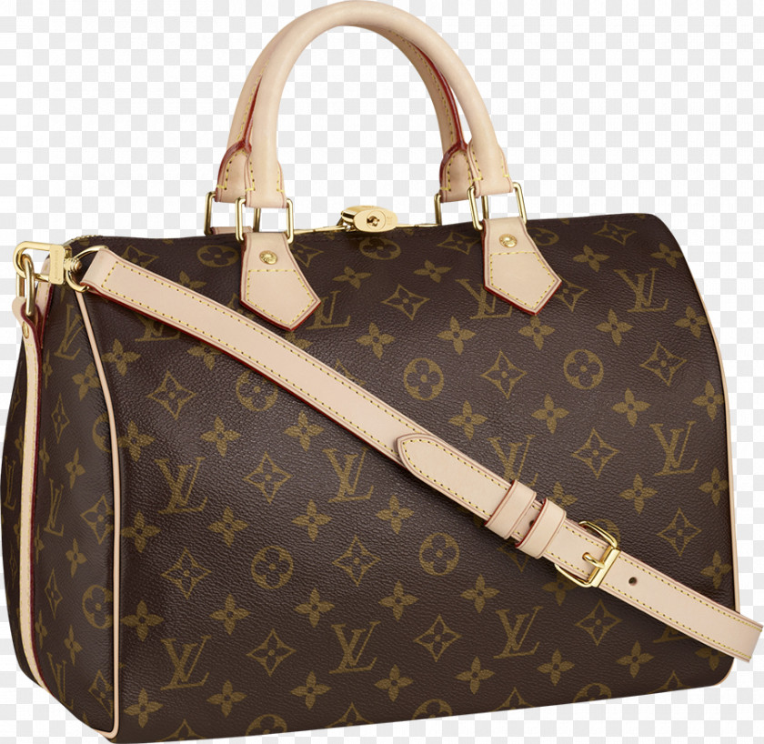 Chanel Louis Vuitton Handbag Fashion PNG