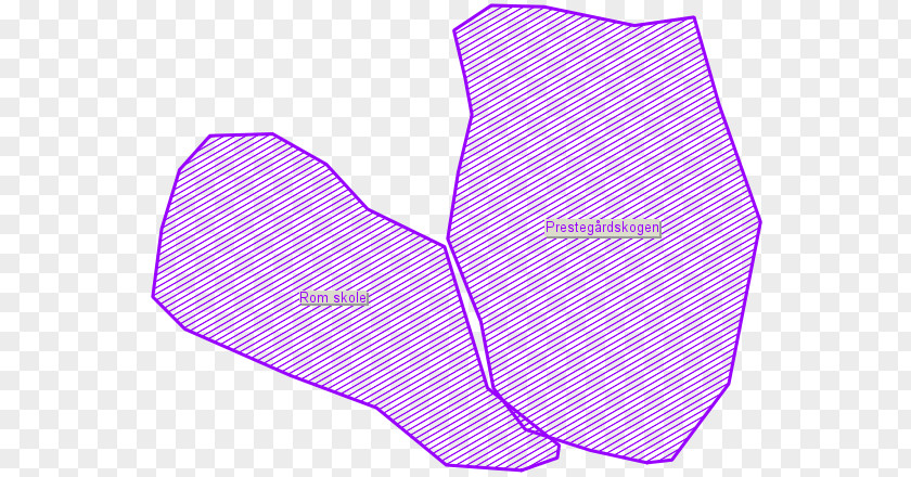 Polygon Map Product Design Line Angle PNG