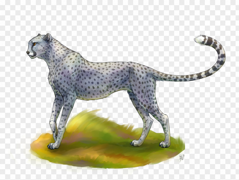 Cheetah Maltese Dog Cat Felidae Ocelot PNG