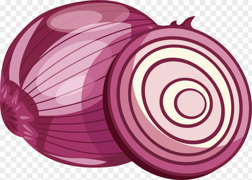 Cut Purple Onion Red Vegetable PNG