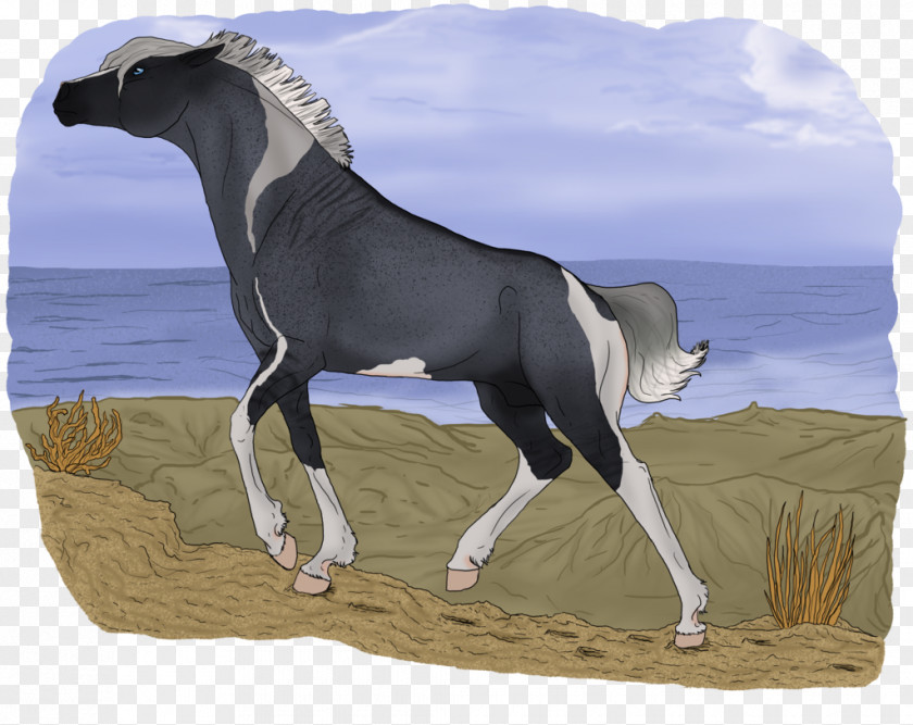 Fell Pony Roan Stallion Mustang Foal Mare Rein PNG