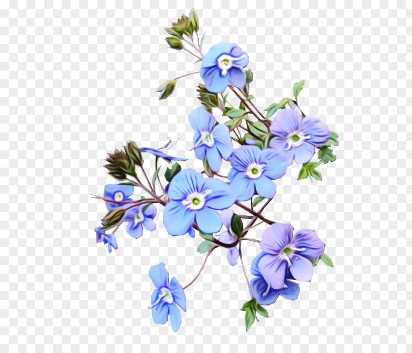 Floral Design Cut Flowers Blue Plants PNG
