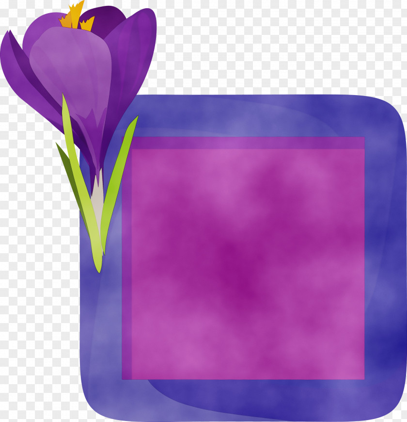 Lavender PNG