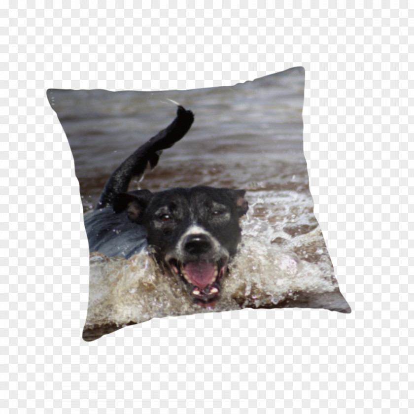 Pillow Dog Breed Throw Pillows Cushion PNG
