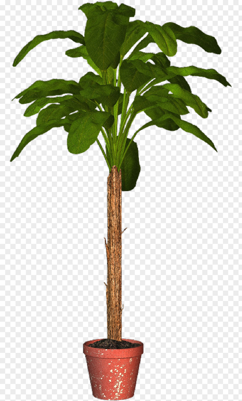 Plant Pot Arecaceae Flowerpot Houseplant Tree PNG