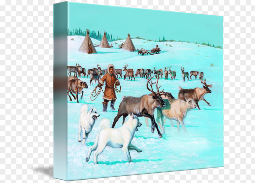 Reindeer Samoyed Dog Gallery Wrap Antler Canvas PNG