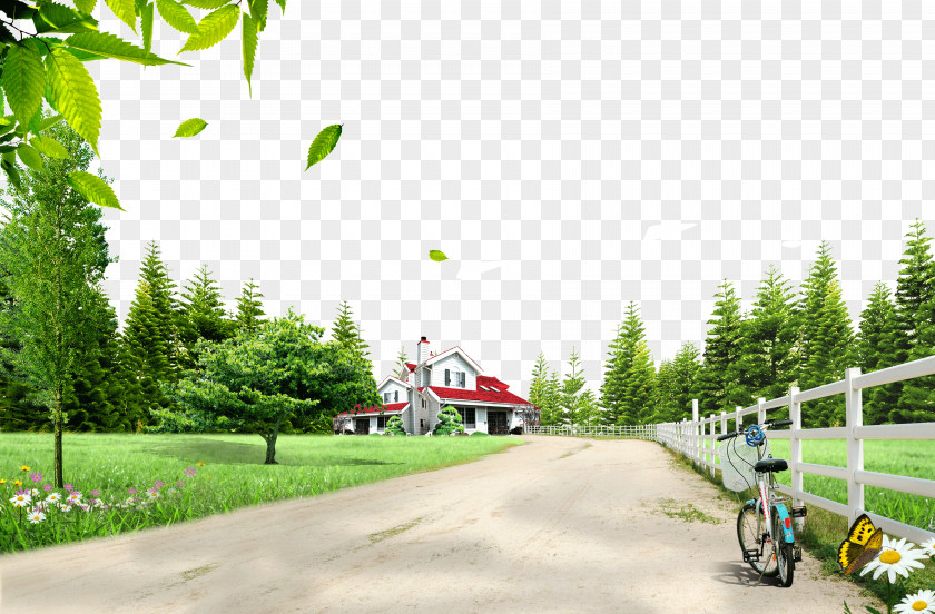 Rural Road Download PNG