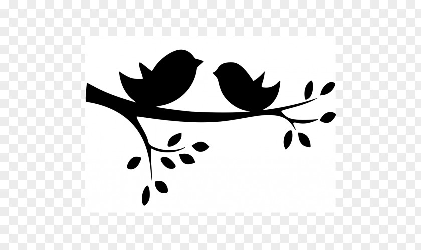 Bird Lovebird Drawing Clip Art PNG