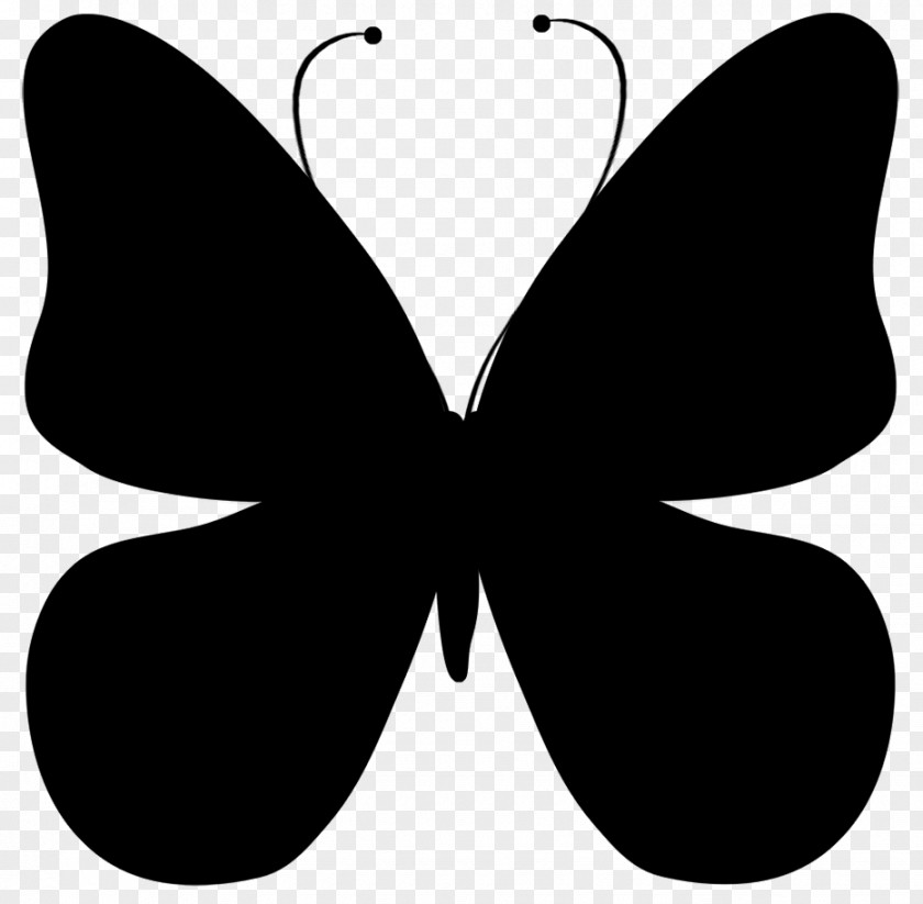 Brush-footed Butterflies Clip Art Symmetry M. Butterfly Black M PNG