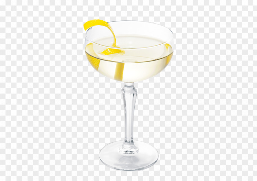 Cocktail Garnish Wine Glass Martini PNG
