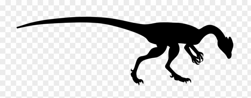 Dilophosaurus Velociraptor Silhouette Black White Clip Art PNG