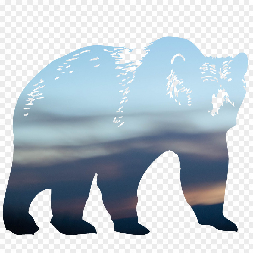 Grizzly Bear Animal Figure Polar Cartoon PNG