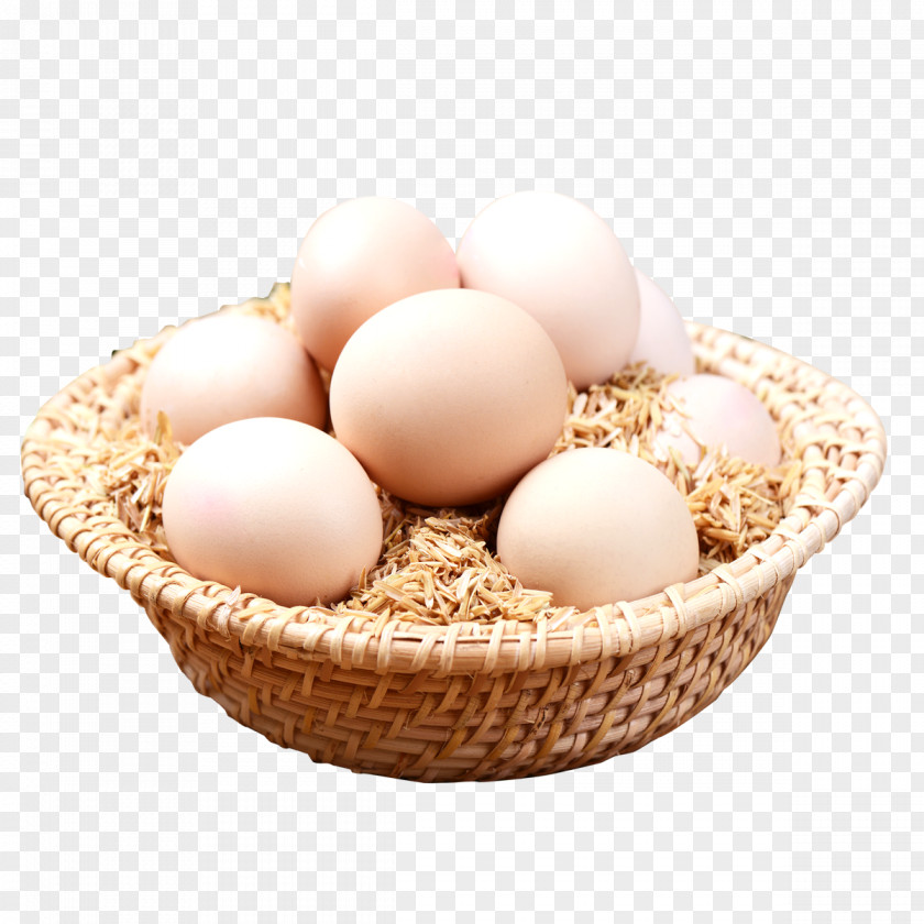 Live Stupid Eggs Publicity Chicken Egg Download PNG