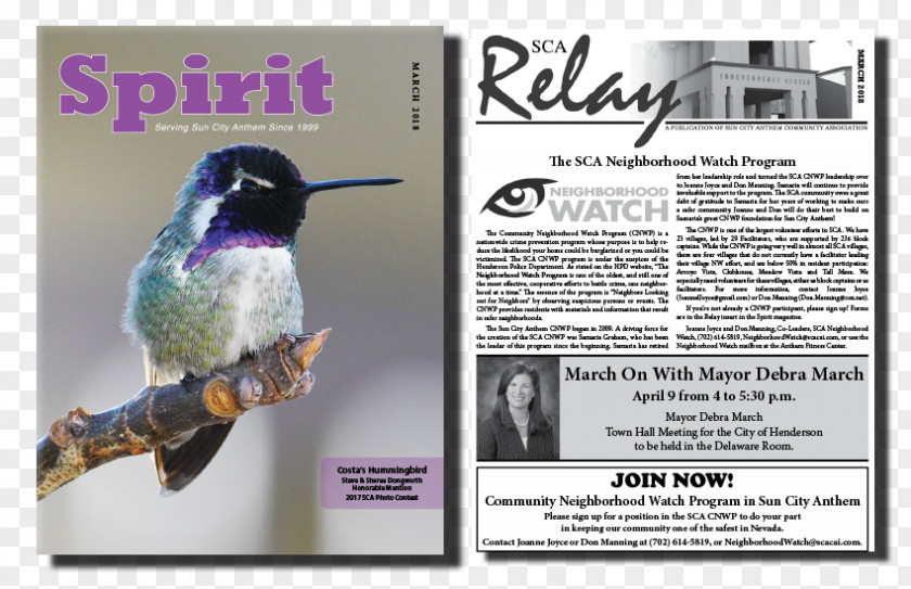 Sun Secure Hummingbird M Advertising Beak PNG