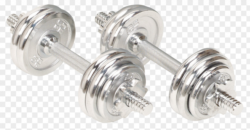 Dumbbell Physical Exercise Bodybuilding PNG