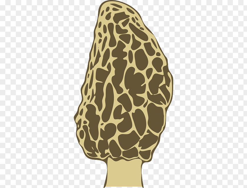 Mushroom Morchella Fungus Clip Art PNG