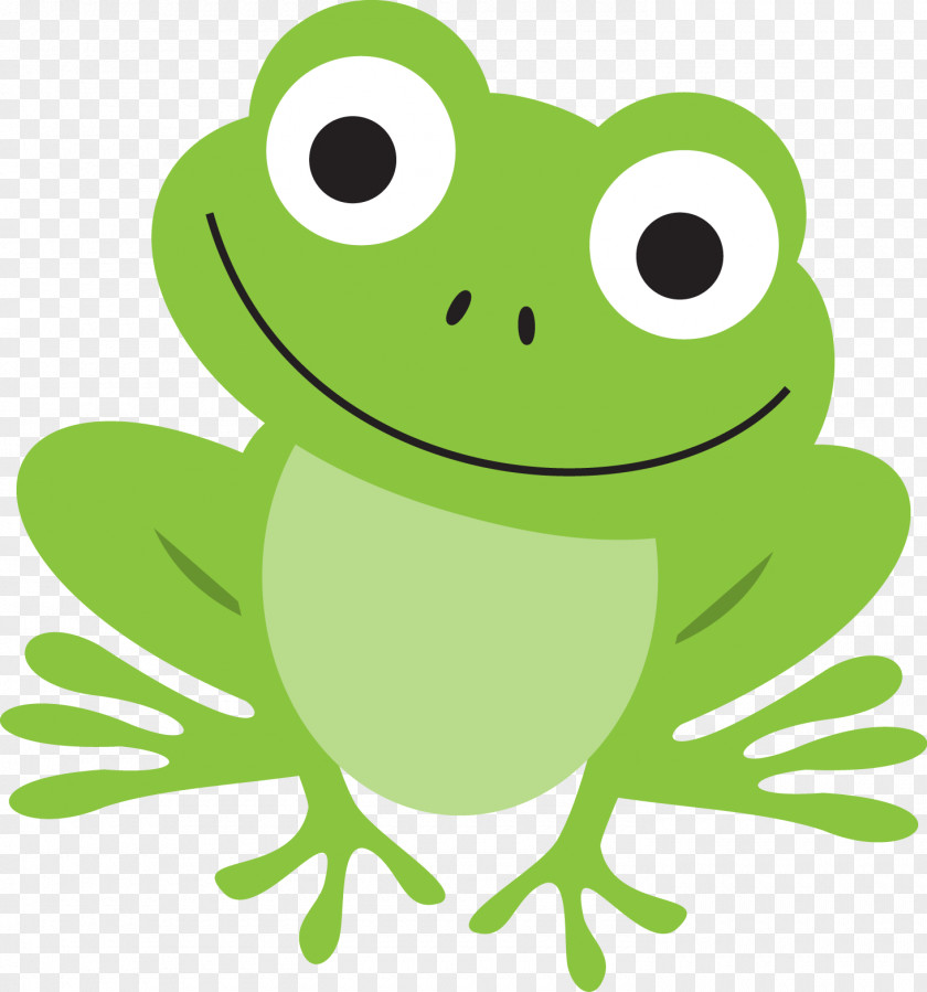 Agalychnis Wood Frog Cartoon PNG