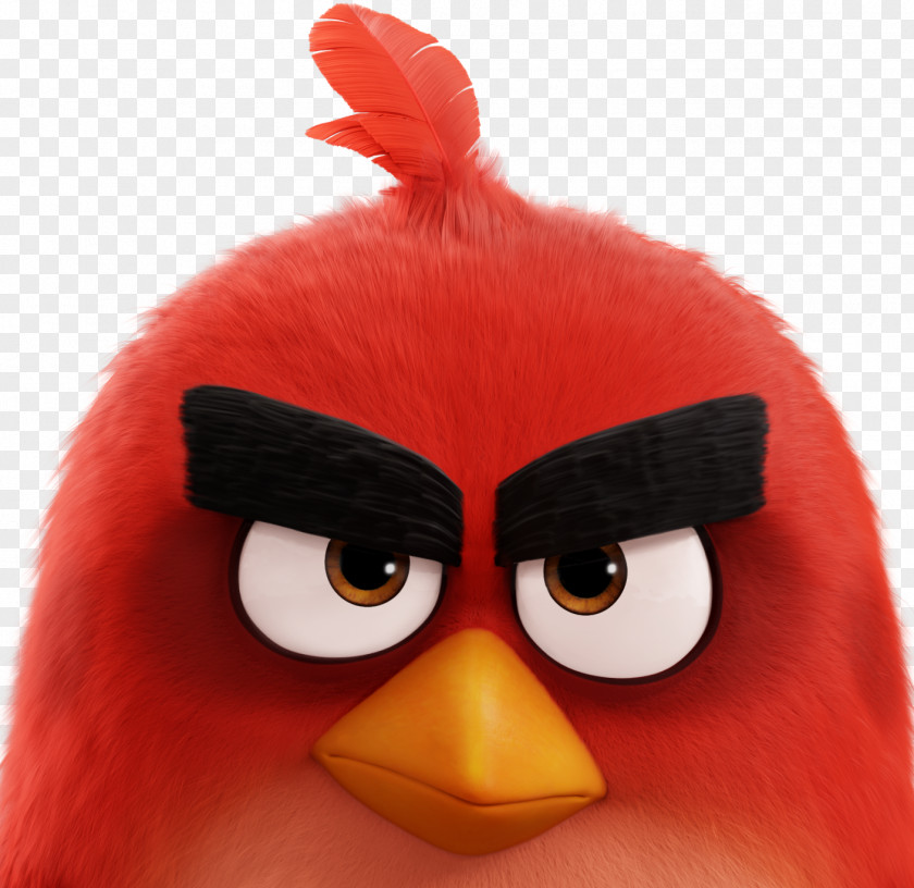 Angry Bird Birds Action! Star Wars POP! 2 PNG