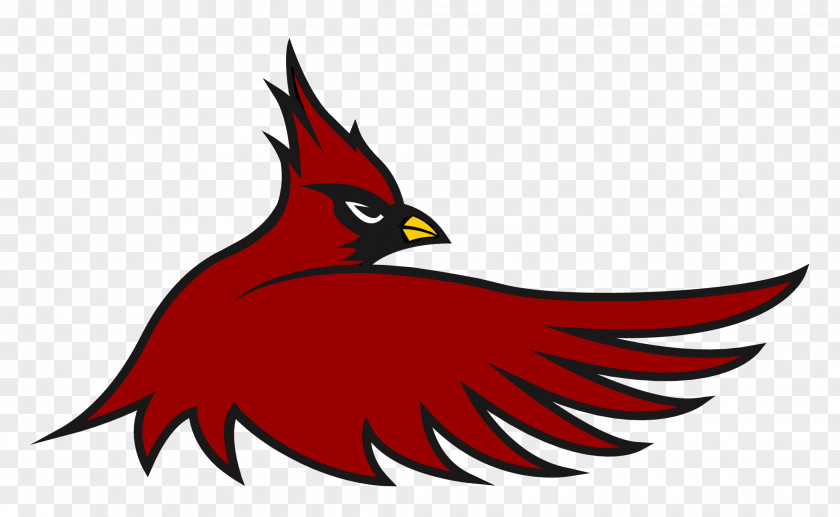 Cardinal 1998 St. Louis Cardinals Season Hayes High School Clip Art PNG