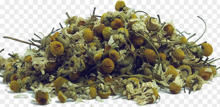 Chamomile Green Tea Sencha Earl Grey PNG