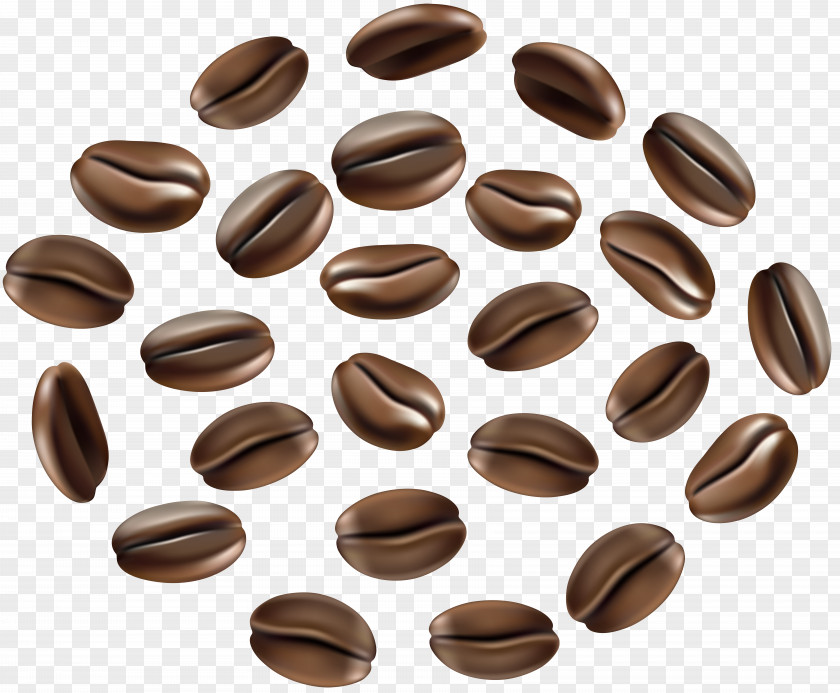 Coffee Bean Single-origin Cafe PNG