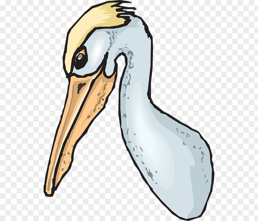 Duck Seabird Beak Clip Art PNG