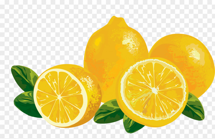 Lemon Clip Art Vector Graphics Juice PNG
