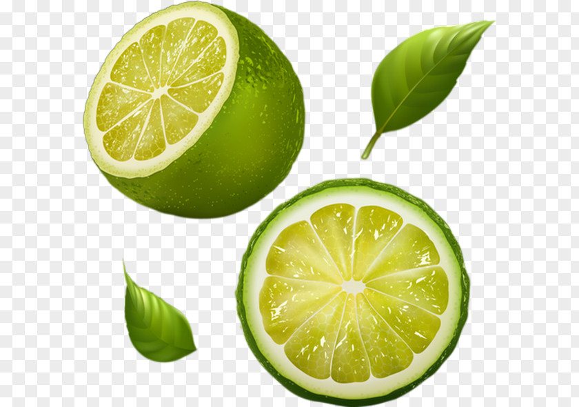Limon Juice Lemon-lime Drink Tangerine Grapefruit PNG