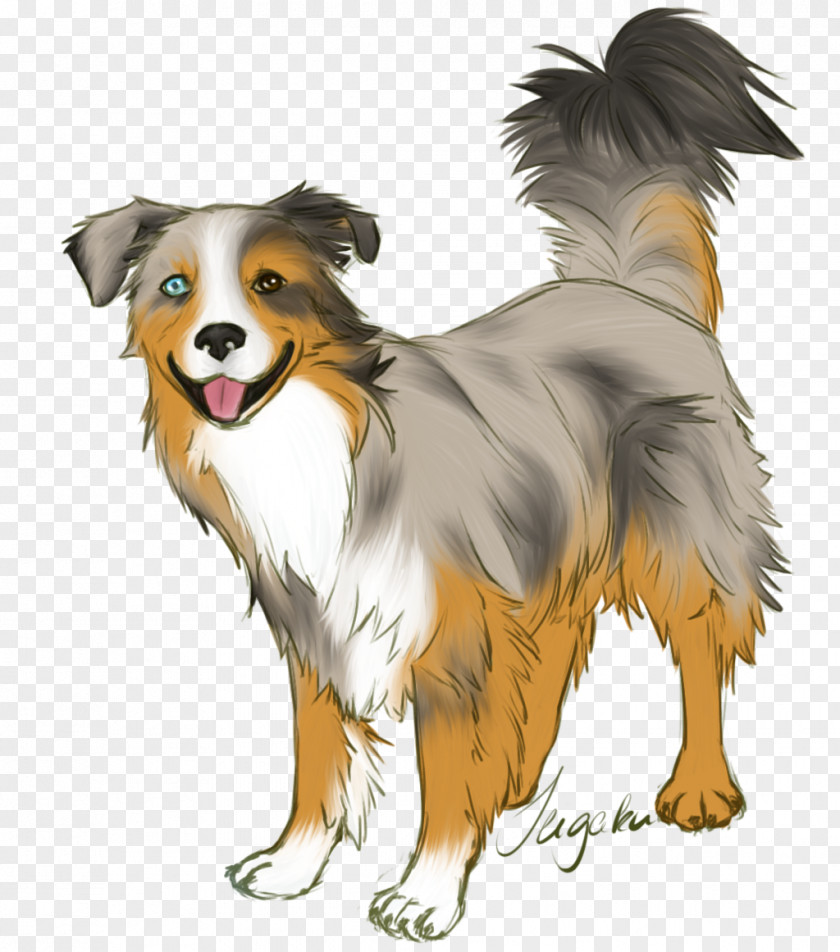 Sheperd Dog Breed Australian Shepherd Miniature American Border Collie English PNG