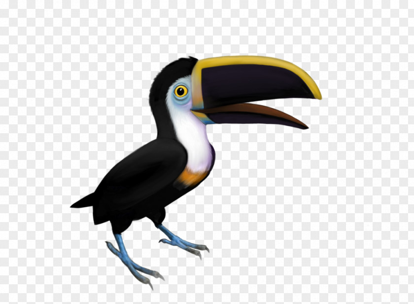 Toucan Bologna World Of Warcraft Bird Piciformes PNG