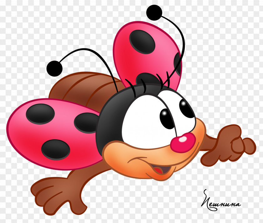 Beetle Drawing Animation Clip Art PNG