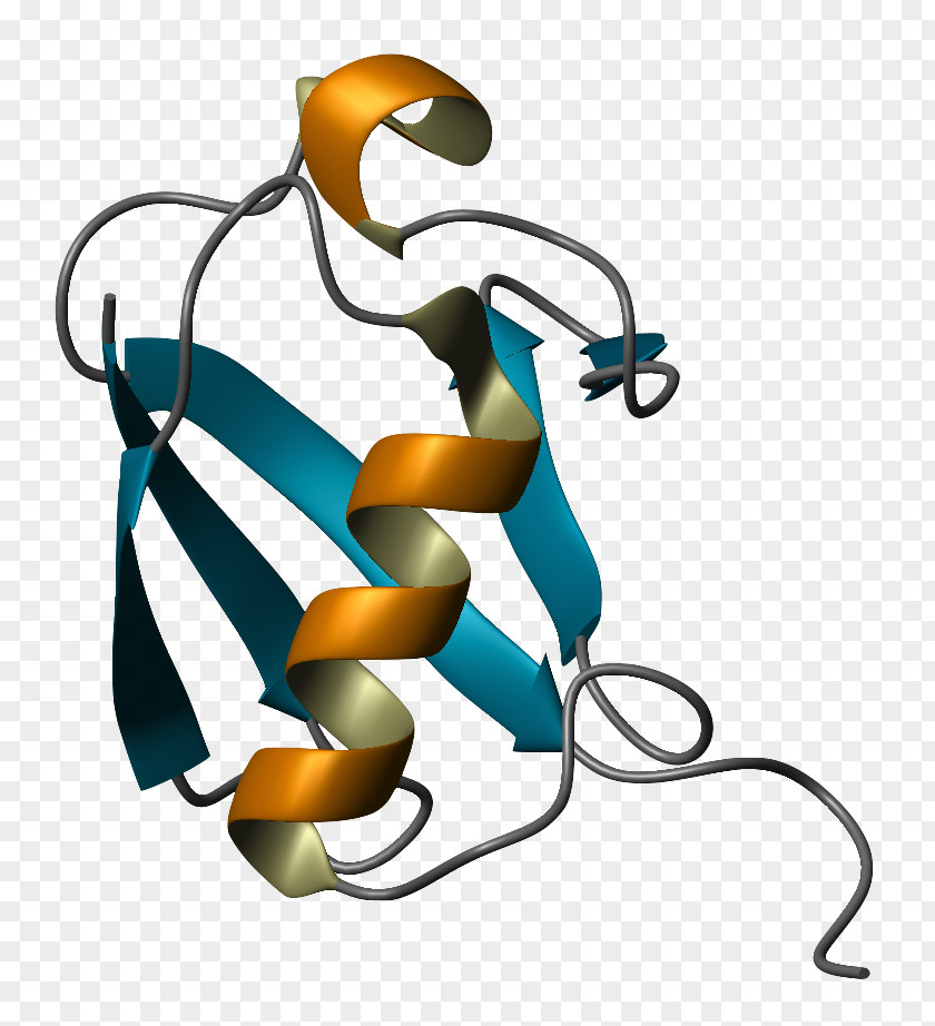 Cartoon Chemistry Ubiquitin Protein Folding Ribbon Diagram Molecular Biology PNG