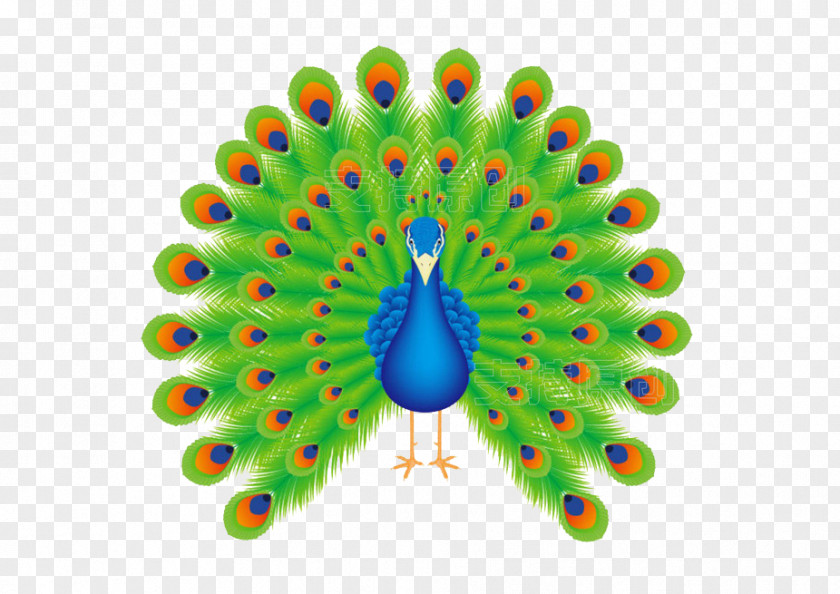 Cartoon Peacock Flower Bird Peafowl Clip Art PNG